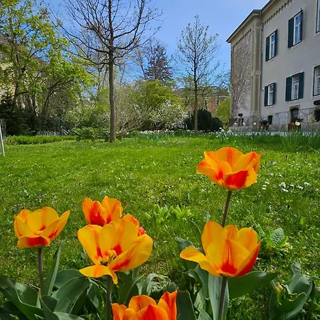 Yellow Flat By Grazrentals Vaulted Kitchen & Pet Friendly & Free Parking Graz