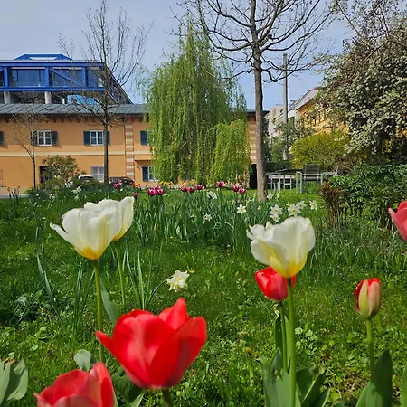 Yellow Flat By Grazrentals Vaulted Kitchen & Pet Friendly & Free Parking *