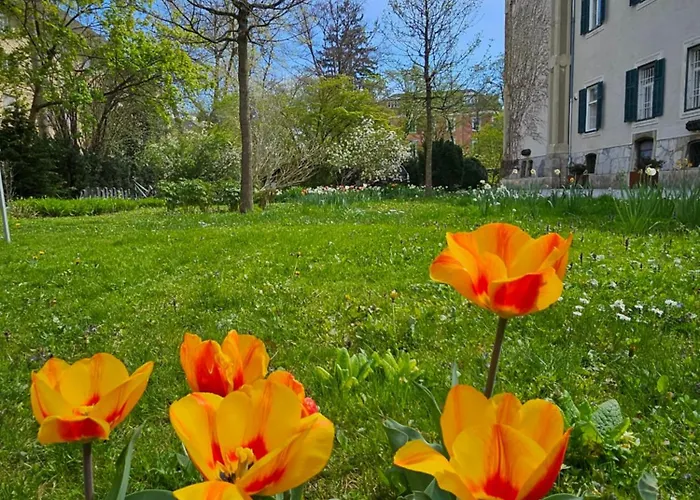 Yellow Flat By Grazrentals Vaulted Kitchen & Pet Friendly & Free Parking Štýrský Hradec