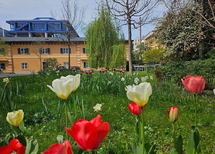 Yellow Flat By Grazrentals Vaulted Kitchen & Pet Friendly & Free Parking *